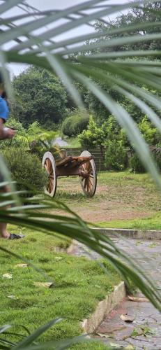 a wooden cart sitting in a field of grass at Rasta Homestay Sakleshpur in Sakleshpur