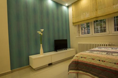 TV a/nebo společenská místnost v ubytování Apartments Jevremova