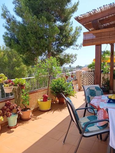 Apartemento Monika Monte Pedrera C 1 TOP Aussicht