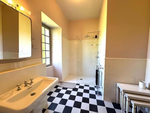 une salle de bain avec un lavabo, une baignoire et une douche dans l'établissement Le château de Grisy -13p et sa Ferme -9p, Piscine, à Vendeuvre