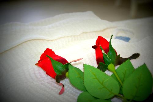 a red rose sitting on top of a towel at Zephyros Hotel in Kamari