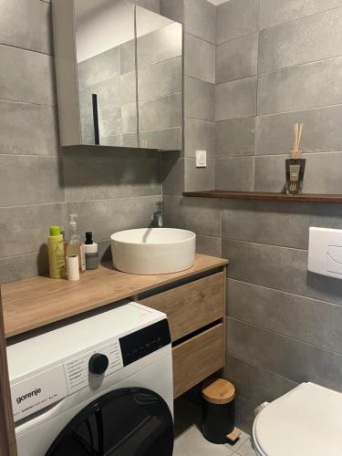 une salle de bain avec un lavabo et une machine à laver dans l'établissement KEARL, studio neuf soleil et détente, aux Gets