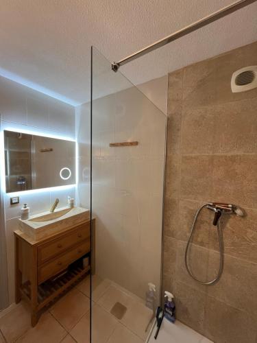 une salle de bain avec un lavabo et une douche en verre dans l'établissement Terrasse avec parking, à Uzès