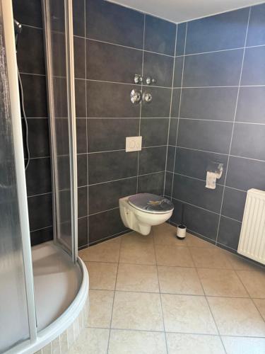 a bathroom with a toilet and a shower at Ferienwohnung Vierjahreszeiten Herbst in Bad Langensalza