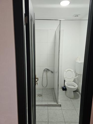 a bathroom with a shower and a toilet at Traflor Termhouse Rustic in Venus