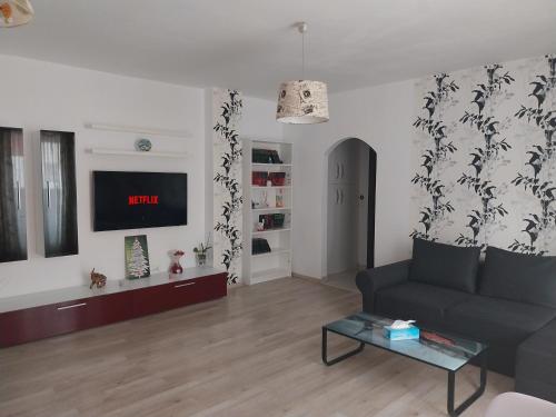 a living room with a couch and a tv at Ianca Urban Stay in Şelimbăr