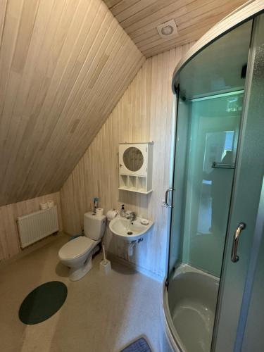 a bathroom with a toilet and a sink and a shower at Gintaro Vila in Kunigiškiai