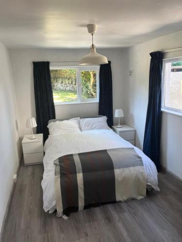 a bedroom with a large bed and two windows at Historic House in Sandyford Village in Dublin