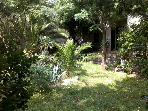 Taman di luar Apartments MiaMaja