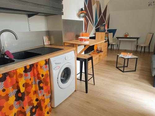 une cuisine avec une machine à laver et un évier dans l'établissement Still vintage 67 appartement proche de Strasbourg, à Still