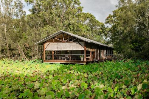 a large wooden building in a field of plants at The Boathouses at Leaves & Fishes in Lovedale