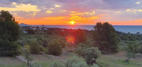 a sunset over a field with trees and the ocean at La casa del mar Nuimna in Peniscola