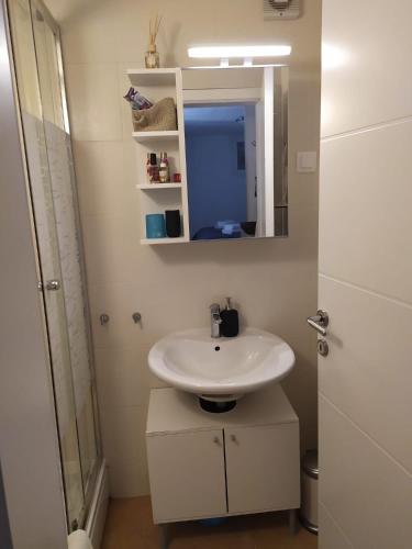 Ένα μπάνιο στο Cozy Jelsa apartment in the shade of the pines.