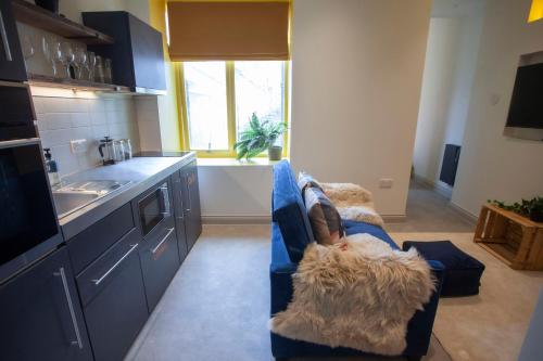Luxury Aparthotel 350yds from Centre photo 9