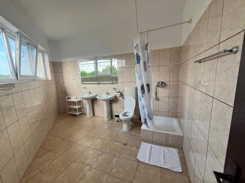 Bilik mandi di Vila Dan și Silvia
