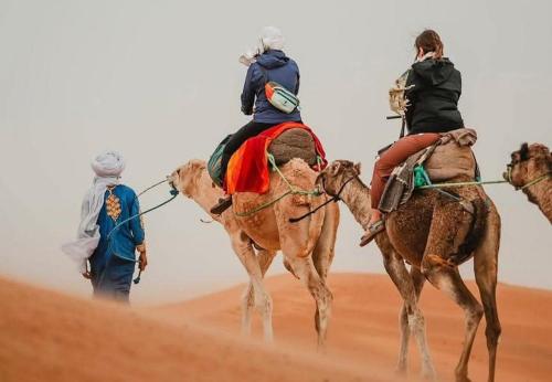Altri animali domestici presso il campeggio di lusso o nei dintorni