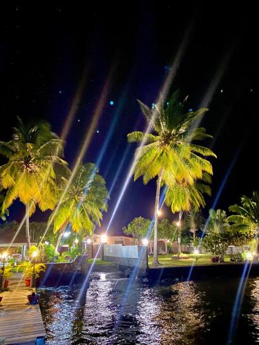 a group of palm trees at night with lights at Villa Ahui Tautira with private lagoon access 
