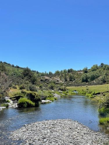 a river in the middle of a field with trees at Casa Rural Taller del Nogal 