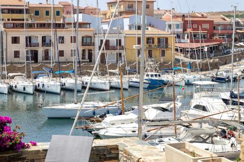 a bunch of boats docked in a marina with buildings at Casa Katy Sul Porto Di Stintino in Stintino