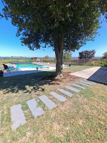 un arbre à côté d'une piscine avec un arbre dans l'établissement Saint-Amour domaine de la vigne, à La Chapelle-de-Guinchay