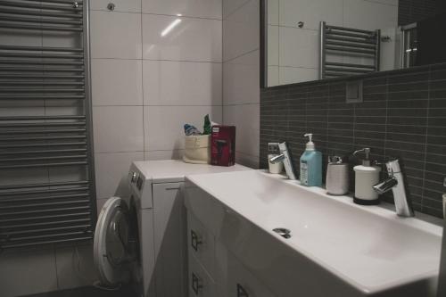 Ένα μπάνιο στο Apartmán Pasohlávky - rodinný komfort se dvěma ložnicemi a kuchyní