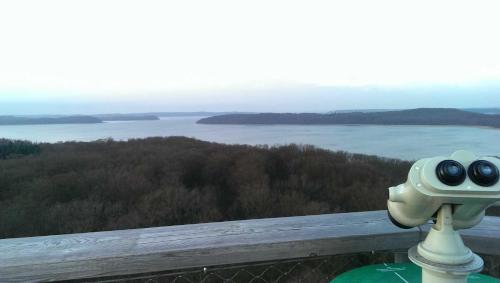 a cartoon frog on top of a fence looking at a lake at prora46 Meerblick Apartment in Binz