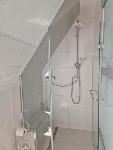 a bathroom with a shower with a glass door at Ferienwohnung in Schönwald