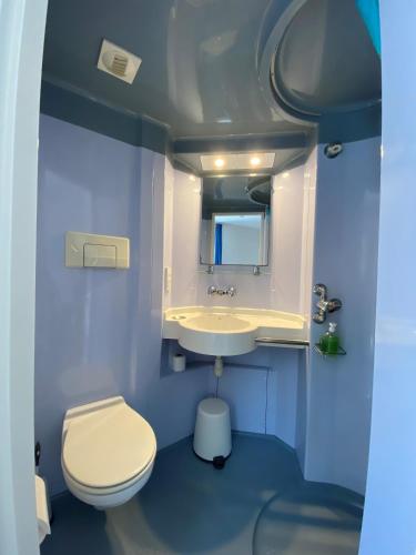une salle de bain bleue avec des toilettes et un lavabo dans l'établissement LES BAIGNEURS, à Saint-Gilles-Croix-de-Vie