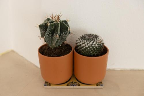 Billede fra billedgalleriet på Casa Marilyn i Vila Nova de Milfontes