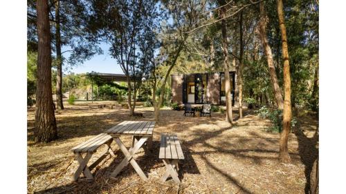 a picnic table in the middle of a park with trees at Manna Gum Retreat by Tiny Away in Allansford
