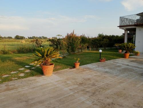 a patio with potted plants in a yard at Imperial casa vacanze in Ladispoli