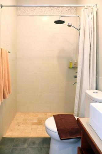 a bathroom with a toilet and a shower at Cening Ayu Sanur in Sanur