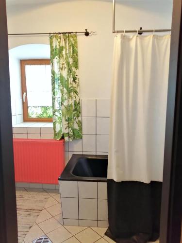 a kitchen with a sink and a shower curtain at Bodenschmiede in Hopfgarten im Brixental