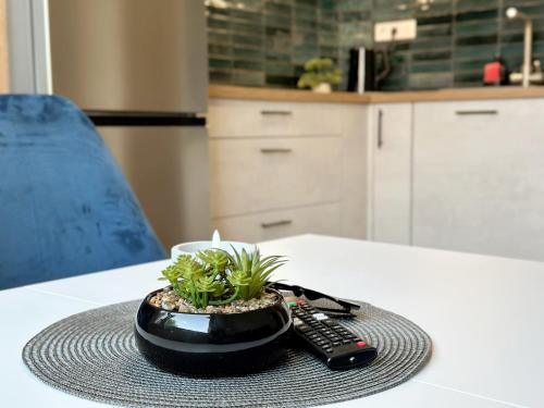 a remote control and a potted plant on a table at Apartmán v klidné části Hradce in Hradec Králové