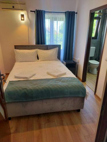 Postel nebo postele na pokoji v ubytování Casa Darius Cluj