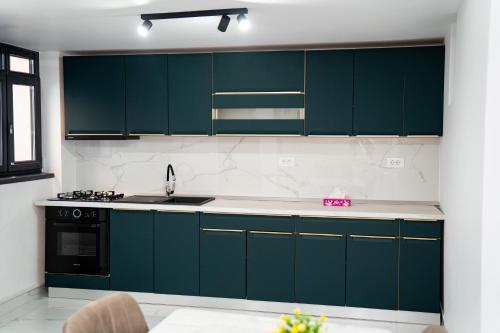 a kitchen with green cabinets and a sink at Bogdan Premium Suites - Targu Jiu in Târgu Jiu