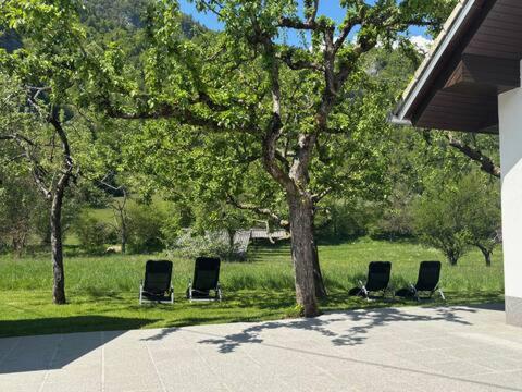 three chairs sitting under a tree in a yard at Jack's Apartments in Bled