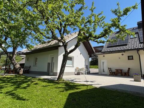 a house with a tree in front of a yard at Jack's Apartments in Bled