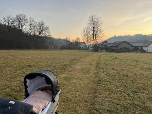 a baby stroller in a field with a field at Ubytování Na Louce in Náchod