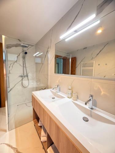 a bathroom with a sink and a shower at REY Chalet in Vatra Dornei