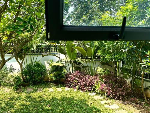 a window view of a garden with plants and flowers at Tony Villa Homestay Ba Vì in Ba Vì