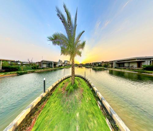 a palm tree sitting in the middle of a river at Araiya Gir,A Mavintara Resort in Chitrāwal