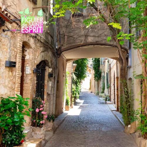 La Cathédrale Azuréenne - dans le vieil Antibes