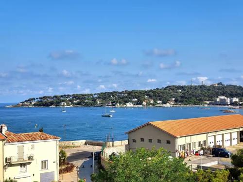 Le Castelet Ensoleillé - Viel Antibes magnifique vue mer