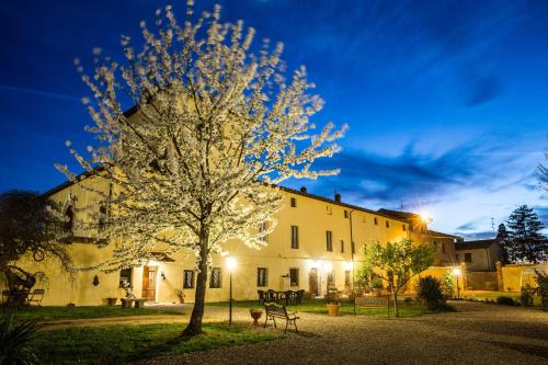 a tree in front of a building at night at Fattoria il Casone in Monteriggioni