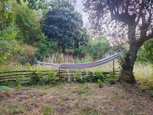 a hammock tied to a tree in a field at Quinta dos Covões in Fornos de Algodres