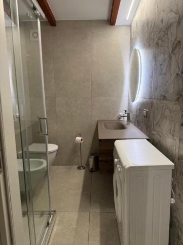 a bathroom with a sink and a toilet and a shower at Appartamenti Venezia in Termoli