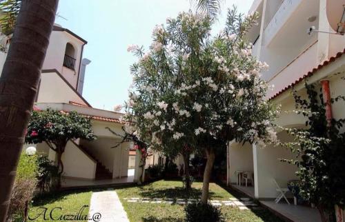 a courtyard with a tree and a building at Hotel Lungomare Brancaleone in Brancaleone Marina