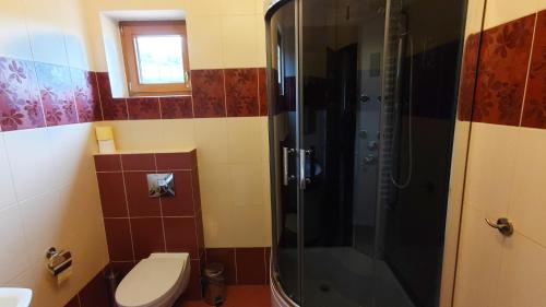 a bathroom with a shower with a toilet and a sink at Domek Wichrowy groń in Korbielów