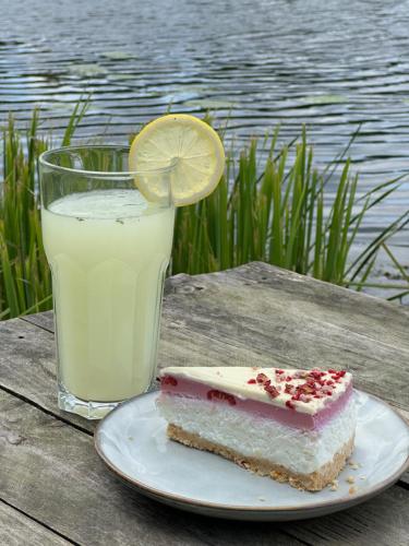 a slice of cake on a plate with a glass of milk at Glampingowy namiot nad Kanałem Augustowskim in Płaska